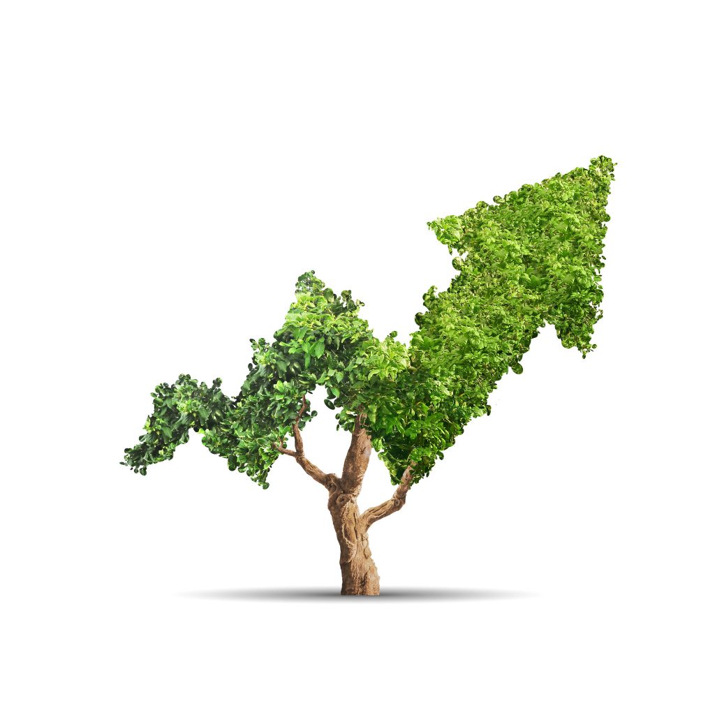 Tree Graph Shape